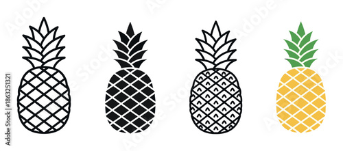 Set of four pineapple illustrations showing different graphic styles including outline, silhouette, pattern, and color for a tropical fruit design concept