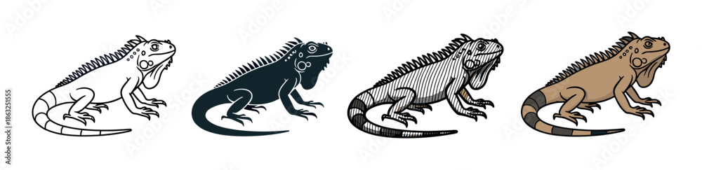 Obraz premium Set of four iguana reptile illustrations presented in various graphic styles including line art, silhouette, hatching, and full color for versatile design use