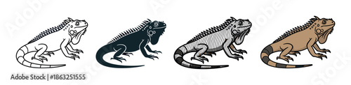 Set of four iguana reptile illustrations presented in various graphic styles including line art, silhouette, hatching, and full color for versatile design use