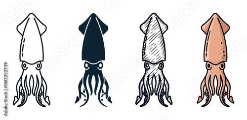 Four squid illustrations in various graphic styles show a collection of marine animal icons including outline, silhouette, hand-drawn sketch, and colored cartoon