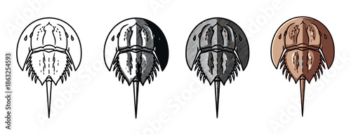 Four horseshoe crab illustrations in a set showing different artistic styles from simple line art and hatching to a full color drawing of the marine arthropod