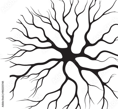 vector illustration of neural networking background