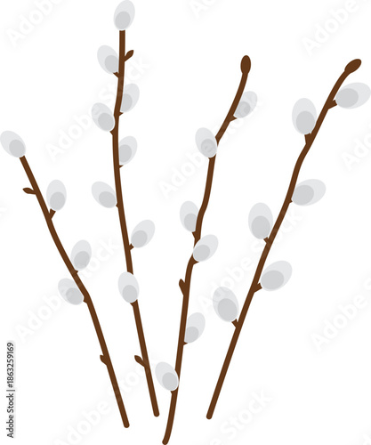 Spring willow twigs. Isolated vector. Vector illustration with transparent background.