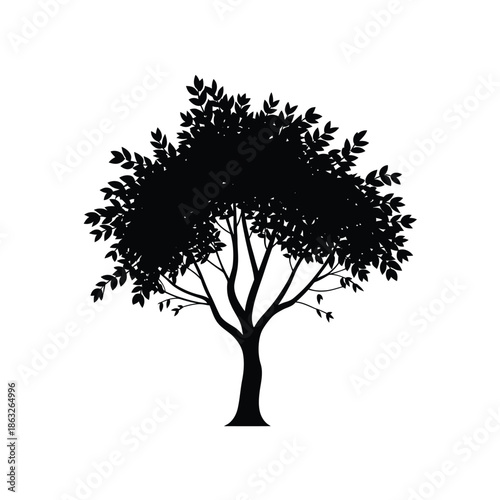Silhouette of a deciduous tree with dense foliage and branches