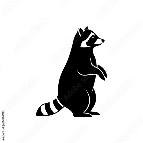 Black Raccoon Dog Standing on Hind Legs.