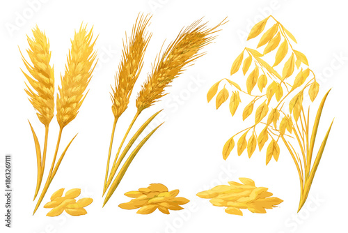 Golden wheat and oat stalks with grains