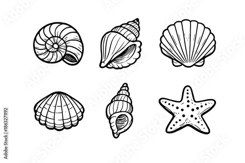 Collection of Black and White Seashell Illustrations on Gray Background