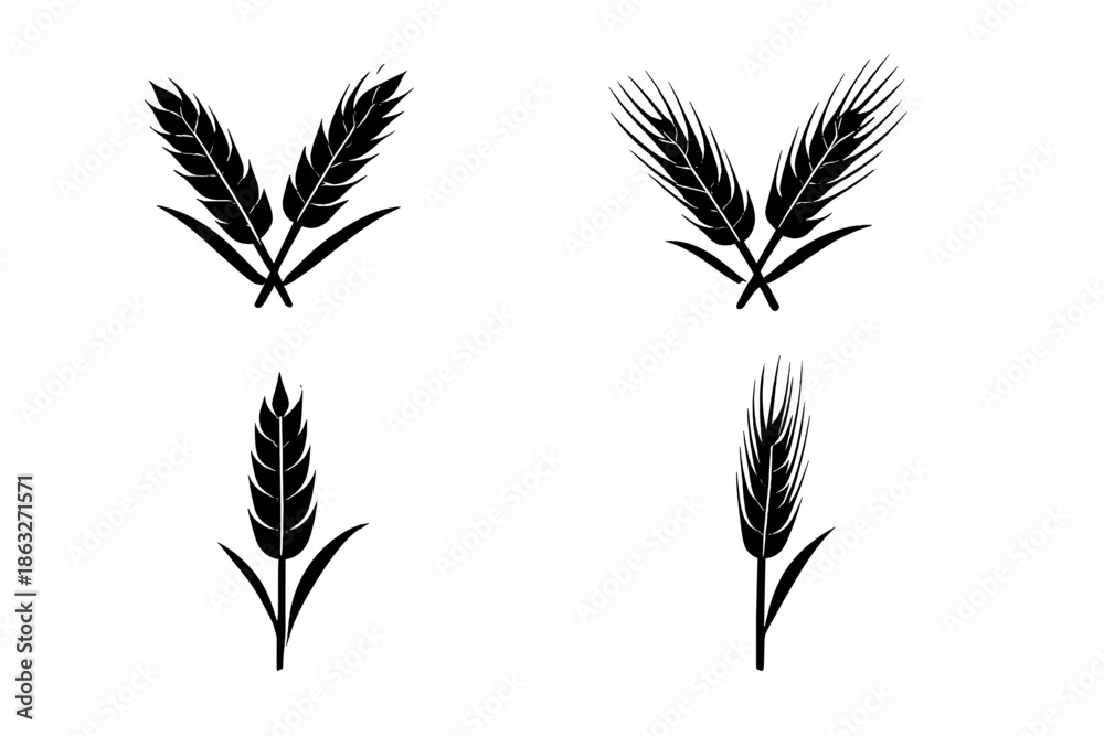 Obraz premium Black wheat ears on a dark background