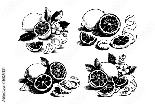 Hand-drawn black and white illustrations of lemons with slices, flowers, and leaves on white background. Concept of citrus fruit and freshness
