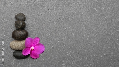Black Stones Stacked With a Purple Orchid on a Gray Background for Relaxation...