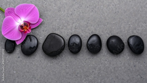 Arrangement of Stones and an Orchid Flower on a Gray Surface During Daylight