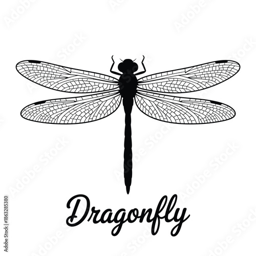 A striking black and white illustration of a delicate dragonfly in flight