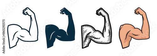 Set of four flexed bicep illustrations in various graphic styles including outline, silhouette, sketch, and cartoon, demonstrating physical strength, power, and fitness
