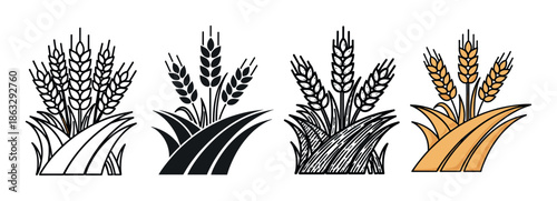 Set of four wheat ear icons showing different graphic styles including simple outline, solid silhouette, detailed engraving, and a golden colored version for agricultural concepts