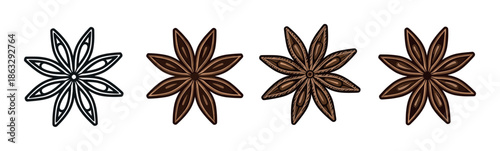 Four star anise spice illustrations in a set, showcasing a design progression from a simple black and white line art icon to a fully rendered and detailed brown pod