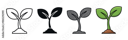 Set of four young plant sprout icons showing different artistic styles like simple outline, solid silhouette, engraved hatching, and a colorful cartoon version