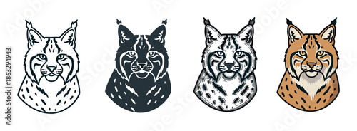 Set of four stylized lynx head illustrations showing different graphic design styles including outline, silhouette, linocut, and full color for a mascot or emblem concept