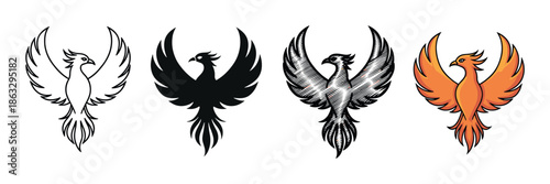 Set of four phoenix bird illustrations in different artistic styles including line art, silhouette, engraving, and full color, showing the mythical creature with majestic wings spread