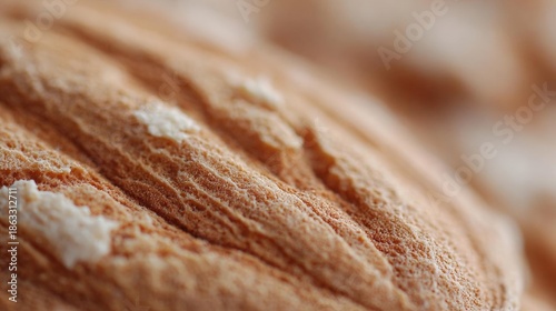 Close-up of a loaf of bread. the bread appears to be freshly baked and has a golden-brown crust. the edges of the bread are slightly curled, giving it a textured appearance.