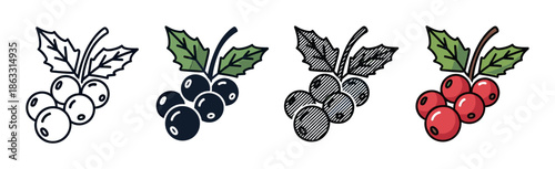 Set of four holly berry icons showing different artistic styles including simple line art, flat color, hand-drawn sketch, and a classic red and green winter holiday design