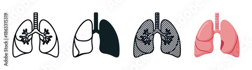 Set of human lungs icons in four different styles including detailed line art, a simple silhouette, a hatched pattern, and a flat color illustration for medical concepts