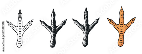 Set of four chicken foot illustrations presented in various graphic styles, including a simple outline, two detailed black ink versions, and a flat color cartoon design