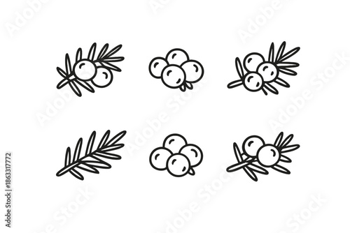 Minimalist Icons of Juniper Berries on Branches