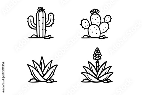 Set of Four Cactus and Succulent Icons