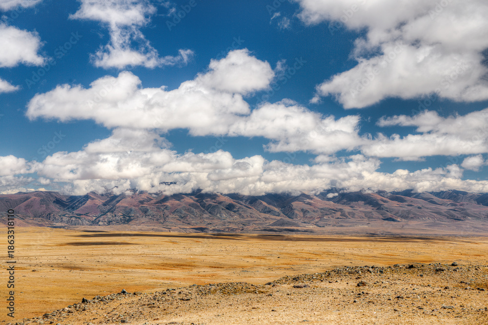 Fototapeta premium Russia. Altai Mountains. Kurai steppe with mountains in the background.