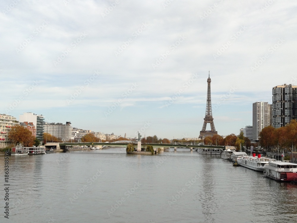 Fototapeta premium Eiffel Tower with Seine River