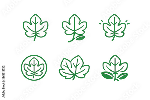 Green Fig Leaf Icons Set