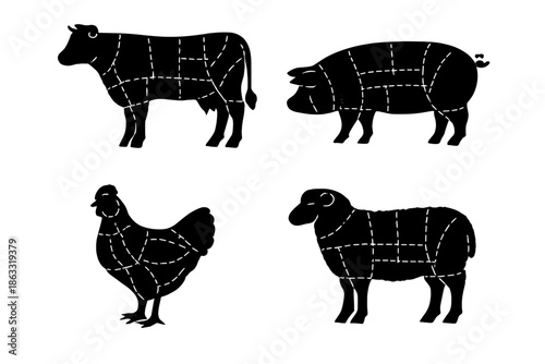 Animal Meat Cuts Diagram