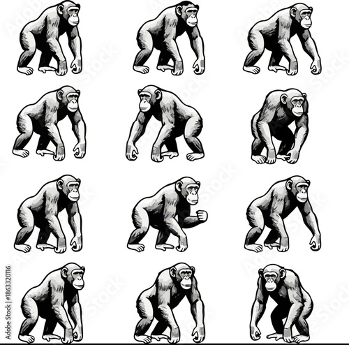 Twelve Chimpanzee Silhouette Vector Set in Bold Black