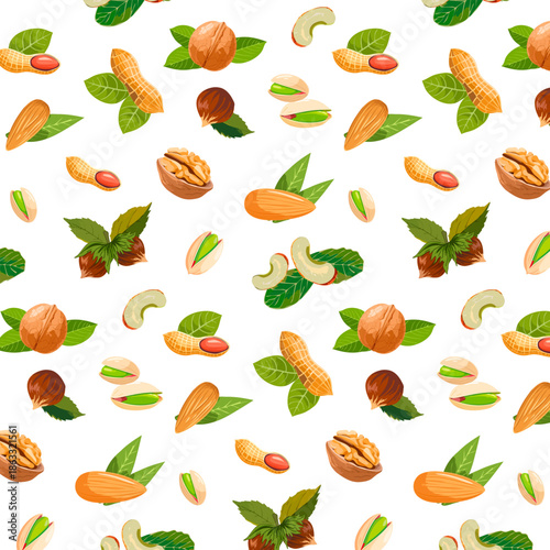 Seeds and nuts on a white background in a magnificent pattern.Vector colored pattern with various nuts on a white background.