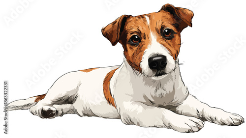 Cute Cartoon Rescue Dog on White Background with Outline Vector Illustration