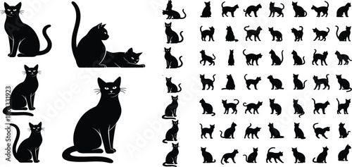 Black cat silhouettes in various poses and stances, domestic feline vector collection for creative design, decoration, pets, and animal art