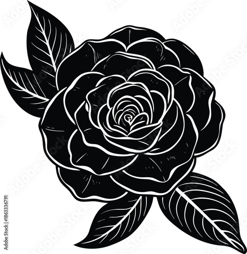 Black and white of a rose with leaves flower