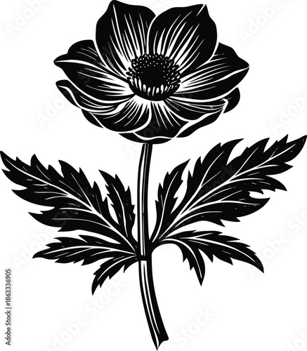Black and white of a flower with leaves botanical