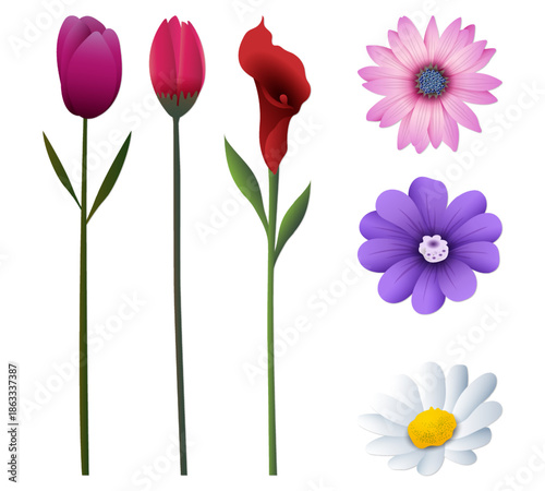 Floral Array: A curated assortment of vibrant flowers. Each bloom, from the tulip to the daisy, bursts with color and intricate detail, creating a visual symphony of nature's artistry. 