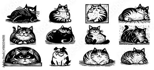 Set of fat lazy cats lying down and sitting, funny chubby kitten character collection sketch vector illustration