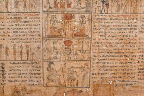 Close-up of the ancient egyptian papyrus