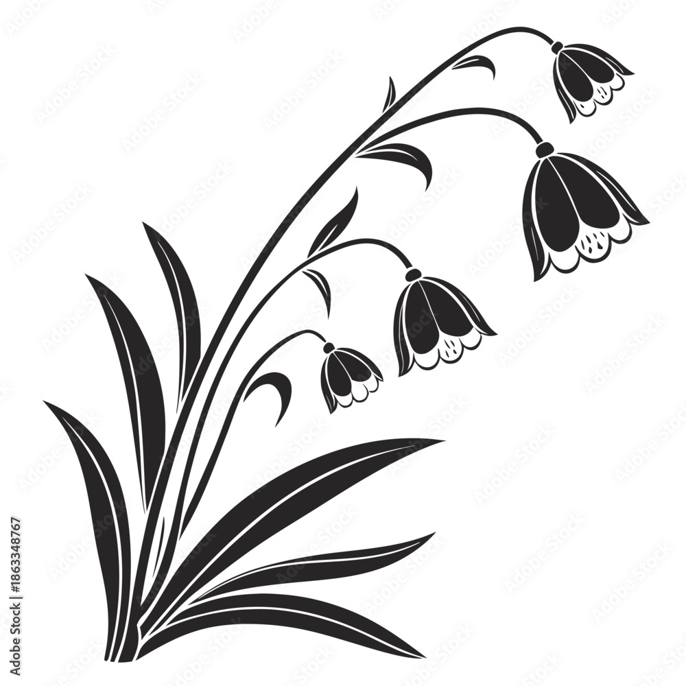 Fototapeta premium Snow Buttercup Vector Illustration | Alpine Wildflower Botanical Artwork | Mountain Flora Design
