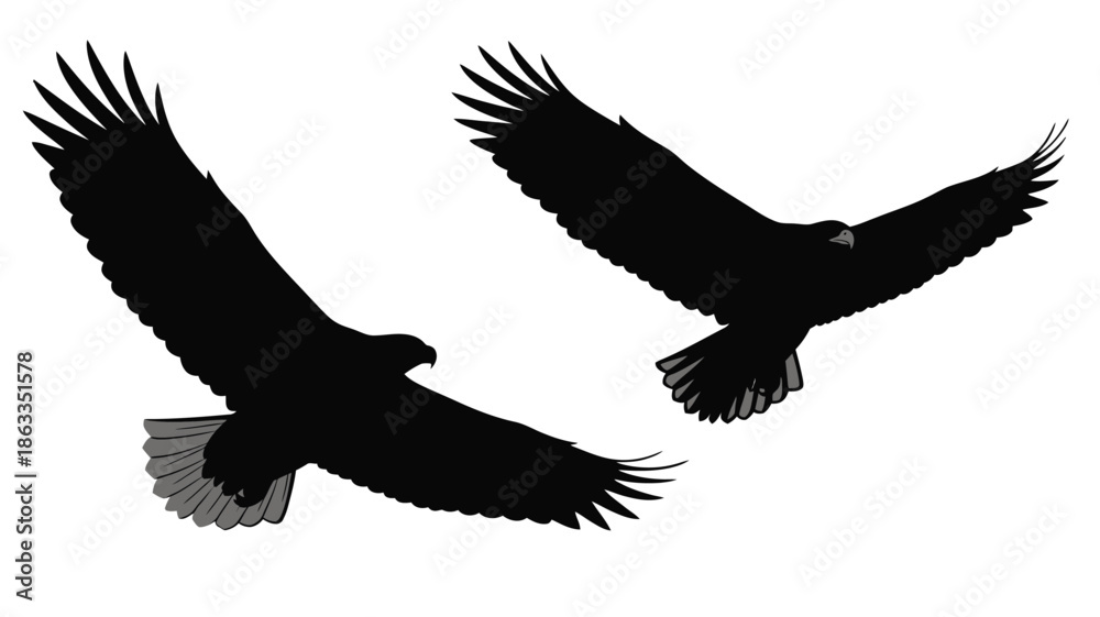 Obraz premium Two eagles with outstretched wings in dynamic flight a striking silhouette