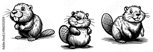 Cute beaver character standing and smiling, wild rodent animal set sketch vector illustration