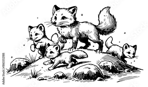 Cute fox family with playing cubs, wild nature animal group sketch vector illustration