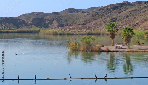 Foto Squaw Lake in Arizona is a popular, connected backwater of the Colorado River -