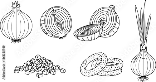 set of Onion Icon Set. Outline icon set of onion parts and forms: whole onion, sliced onion, chopped onion, onion rings, onion bulb,
