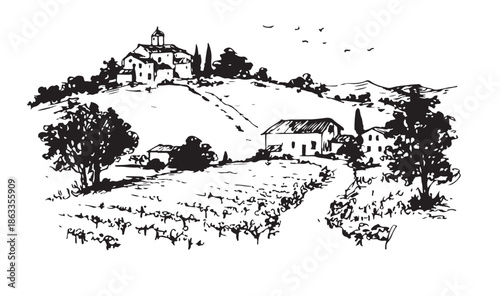 Vineyard landscape, Sketch, hand drawn illustrations.	
