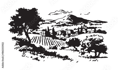 Vineyard landscape, Sketch, hand drawn illustrations.