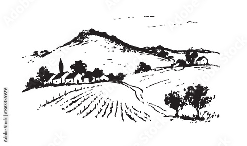 Vineyard landscape, Sketch, hand drawn illustrations.	
